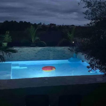 Les Violettes Dans La Loire Viricelles