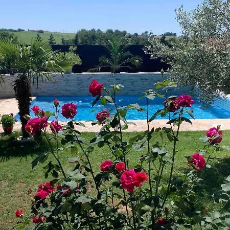 Les Violettes Dans La Loire Appartement