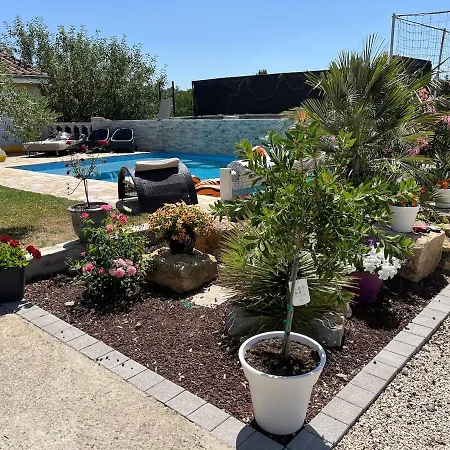 Les Violettes Dans La Loire Appartement *