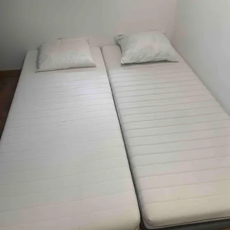 Les Violettes Dans La Loire *