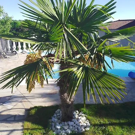 Les Violettes Dans La Loire Apartment Viricelles